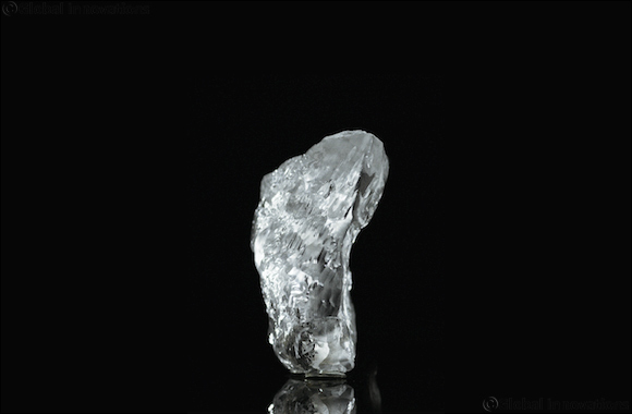 DMCC and de GRISOGONO announce the acquisition of the rights to one of the world's largest and rarest diamonds