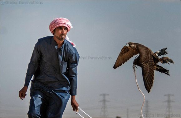 Team F3 records fastest time on first day of National Day Falconry Championship