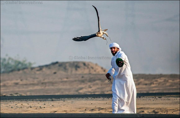 Earth shattering winning times in RC Airplane finals of Fazza Championship for Falconry Tilwah