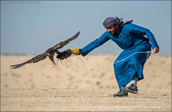 Flying start for F3 falconers in Fazza Championship for Falconry Tilwah ‘Fakhr Al Ajyal'