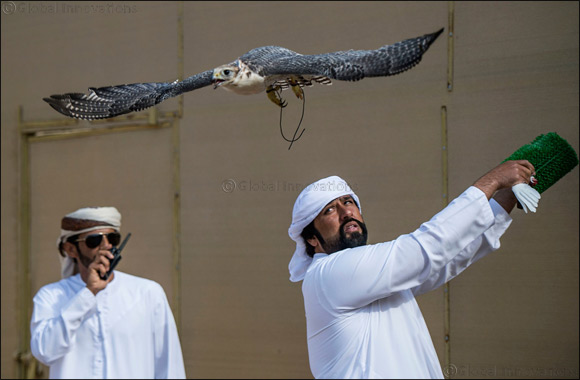 60 falconers to ‘Al Noukhba' Super Finals of ‘Fakhr Al Ajyal'