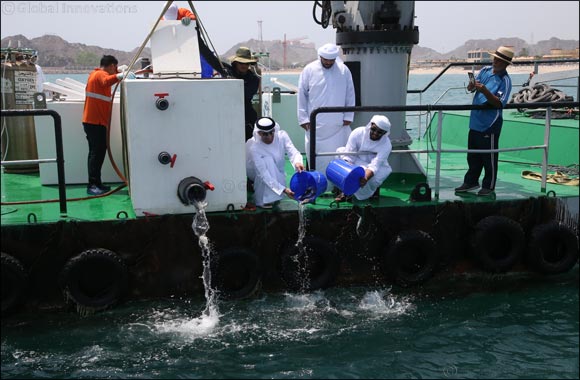 Minister of Climate Change and Environment Releasing 30,000 Fish in Marine Protected Areas in Dibba, Fujairah