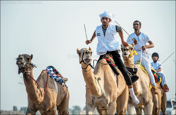 “42 participate at the National Day Camel Marathon "
