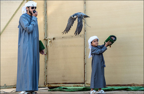 Juniors light up Fazza Championship for Falconry - Telwah