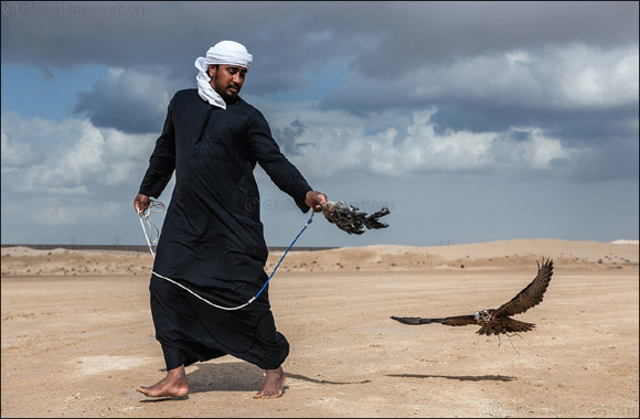 Dubai-based Briton makes waves on debut in Fazza Championship for Falconry – Telwah