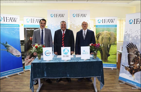 Three International Organization to Unite Efforts to Save the Nature and Wildlife in MENA