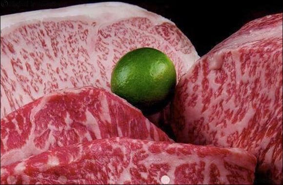 Middle East Fuji LLC exhibits the Gold medalist of Japanese branded “Kobe Beef” at Gulf Food