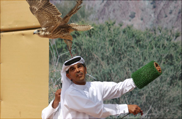 Fujairah Crown Prince attends inaugural Maktoum AlSharqi Falcon Championship