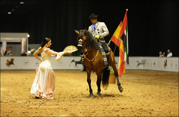10 Must-see Activities at Dubai International Horse Fair This Week
