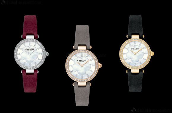 Hour Choice presents Coach Park Collection (Suede straps)