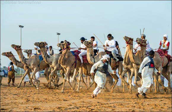 National Day Camel Marathon set to take place in February