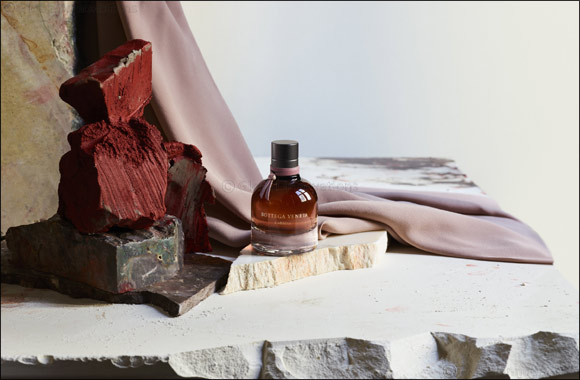 Bottega veneta absolu online
