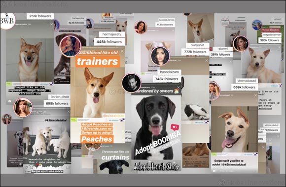 Celebrity Influencers rally behind K9 Friends as 219 dogs adopted