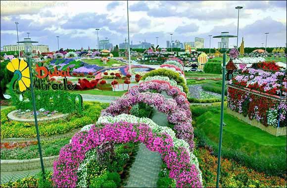 Blooming in its eighth edition, Dubai Miracle Garden offers bunch of new attractions, including more record-breaking floral spectacles