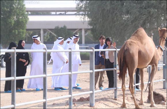 Solar Power Plant at Emirates Industry for Camel Milk to Start Operations in Early 2020