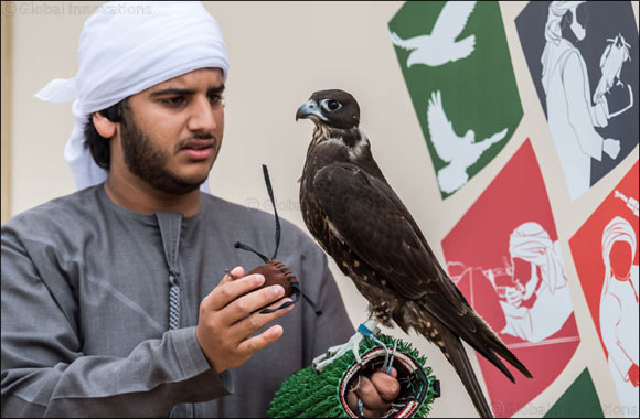 Emiratis deepen their love for falconry