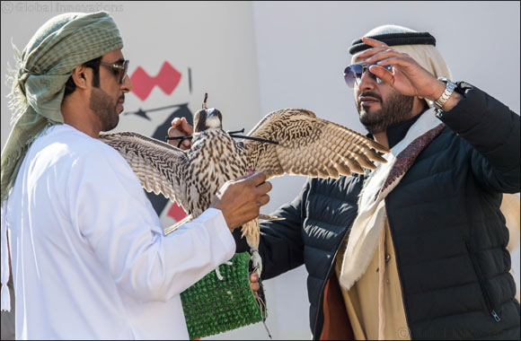 UAE Falconers League Kick Starts Competition with 10 teams in Al Ruwayyah