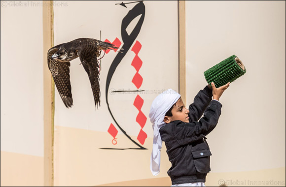 Young Emirati falconers fly high at Fazza Championship for Falconry