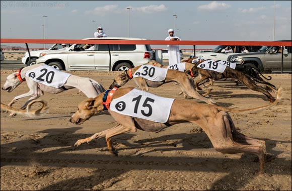 Nasser Bin Dalmook's ‘Najm' Dominates Saluki Championship 2020