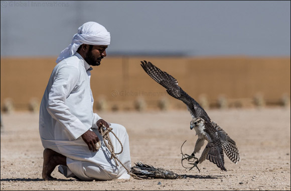 Hamdan Bin Mohammed Heritage Center Concludes a Record-Breaking Year for Heritage Sports