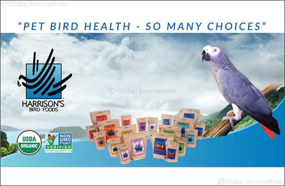 Importance of Healthy Diet for Your Bird