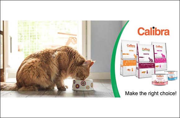 Tips on How to Choose the Right Cat Food