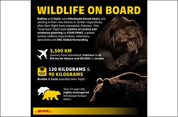 Bears in the Air: DHL Flies two Himalayan Brown Bears to their New Homes