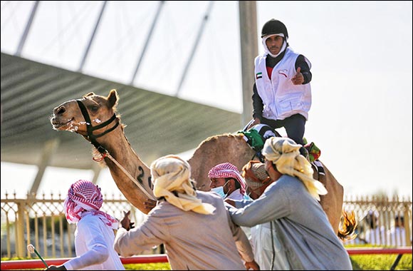 Emirati Sultan Al Shamsi dominates 6th National Day Camel Marathon in Dubai