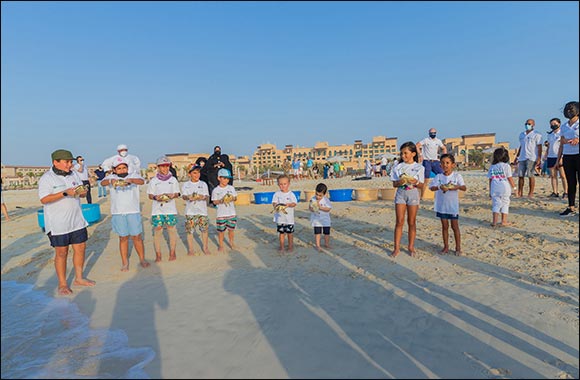 Environment Agency – Abu Dhabi Uses Satellites to Track Three Rehabilitated Turtles in Abu Dhabi Waters