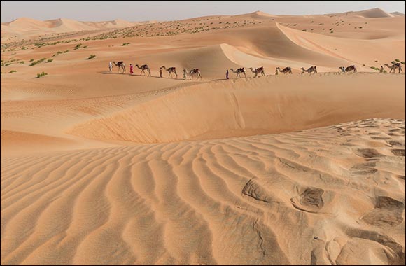 Hamdan Bin Mohammed Heritage Center Organises UAE's Biggest Camel Trek to Arrive at Expo 2020 Dubai