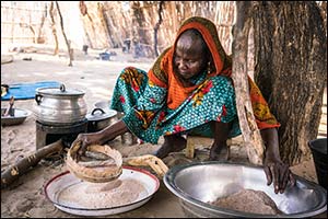 Food and Oil Price Hikes Drive up Costs for Cash-Strapped WFP Operations in West Africa as Region Fa ...