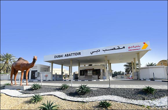 Dubai Municipality Enhances Abattoir Services in Preparation of Eid al Adha