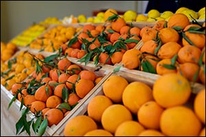 Winter at Tantora puts Local Flavours and Produce in the Spotlight