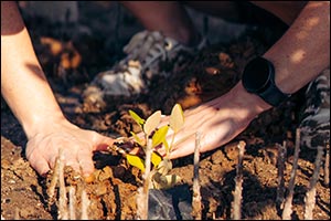 Environment Agency  Abu Dhabi (EAD) and Emirates Nature-WWF Join Hands to Drive Public Participatio ...