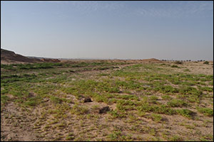 The Environment Agency  Abu Dhabi Issues the Executive Regulations of the Grazing Law in Abu Dhabi  ...