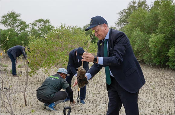 EU Ambassadors Walk the Green Talk by Planting mangroves in Abu Dhabi