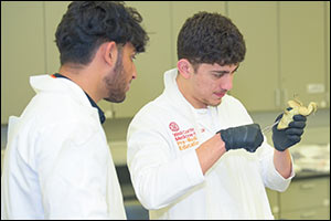 High School Students Explore a Future in Medicine at WCM-Q