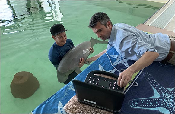 The Environment Agency – Abu Dhabi Saves and Rehabilitates Malqout the Dugong