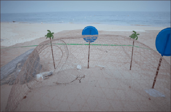 Fujairah's Pristine Beach Witness Extraordinary Sea Turtle Nesting