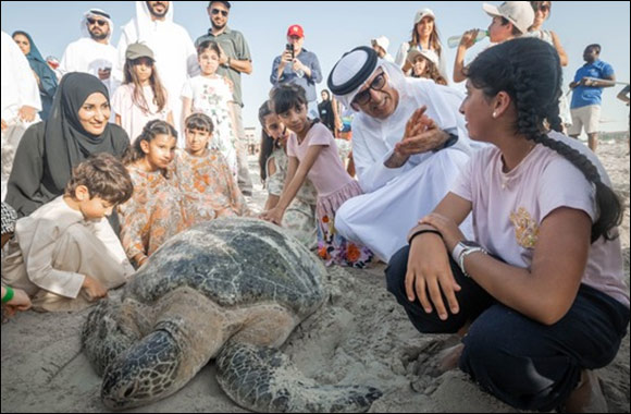 The Environment Agency – Abu Dhabi Has Rescued 178 Turtles Since August 2022