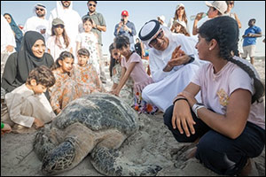 The Environment Agency  Abu Dhabi Has Rescued 178 Turtles Since August 2022