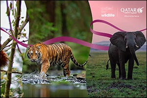 Qatar Airways Partners with United for Wildlife