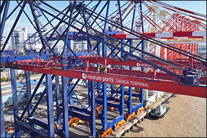 AD Ports Group Prepares to Receive State-of-the-Art Panamax-Class Cranes for New Multipurpose Cargo  ...