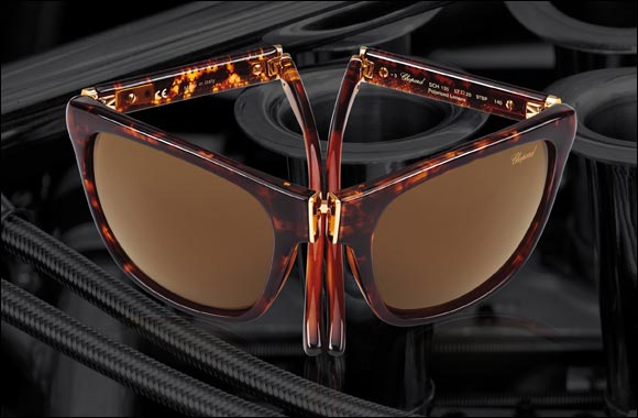 Paris Gallery's 2014 Eyewear Collection