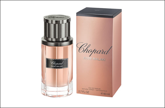 Chopard-Rose Malaki