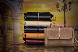Fall in love this season with Carpisa's elegant zipper clutch bag!