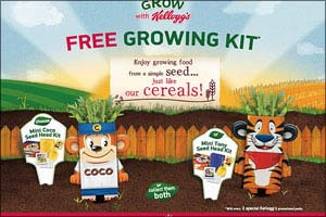 An Exploration of the Journey of Kellogg's Cereals– From the Field to Your Family Breakfast Table