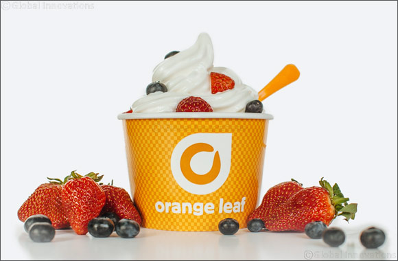 Two Spoons takes a leaf out of the global frozen yogurt success story