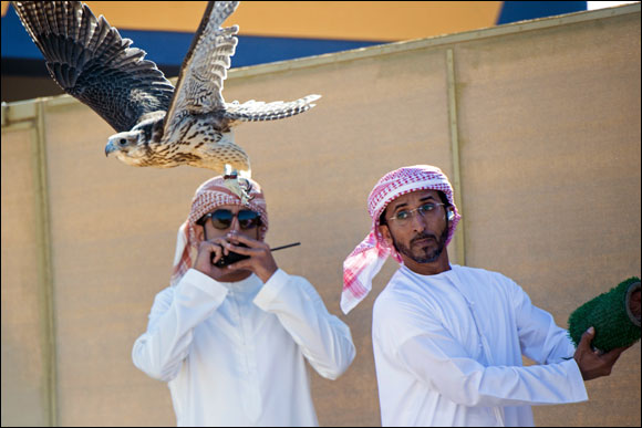 Fazza Championship for Falconry  Faroukh