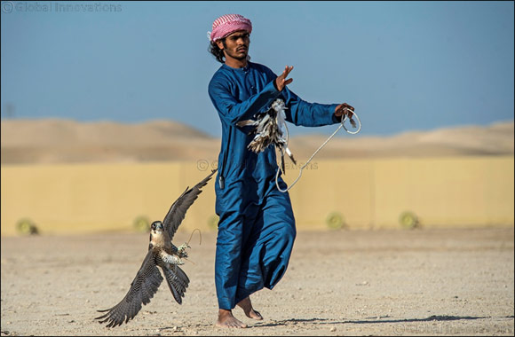 Fazza Championship for Falconry Telwah Enters Exciting Fifth Day